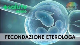 La fecondazione eterologa Il Prof Ermanno Greco risponde a tutto [upl. by Koh346]