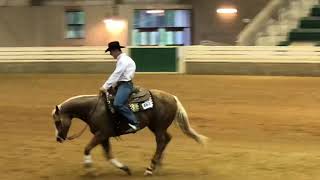 Reining Horse Show WilliamstonNC [upl. by Elbys]