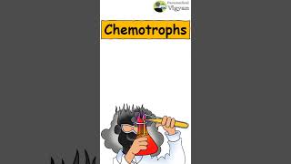 Classification of bacteria on the basis of mode of nutrition shorts short microbiology bacteria [upl. by Enyalb]