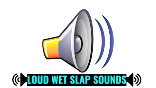 Meme Sounds  LOUD WET SLAPS Sound Effect [upl. by Cornia]