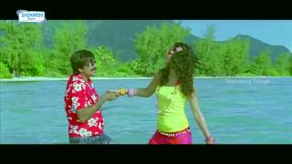 Mogudu Telugu Movie  Kavali Kavali Full Song  Gopichand Tapasee [upl. by Nylad]