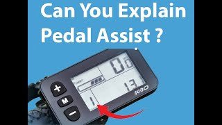 PEDAL ASSIST EXPLAINED electric bikes make it easier to ride and help with long ridesPedal assist [upl. by Ydnis61]