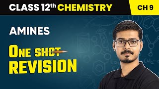 Amines  One Shot Revision  Class 12 Chemistry Chapter 9  CBSE 202425 oneshot [upl. by Jerrilee]