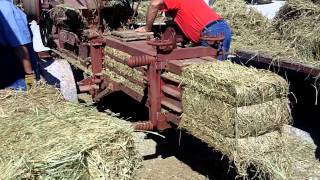 Baling hay the old fashioned way [upl. by Leveridge151]