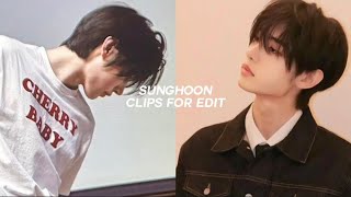 sunghoon clips for edits [upl. by Shiff]