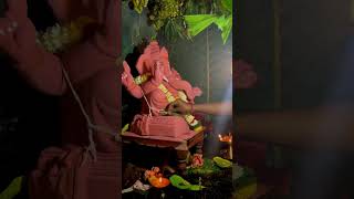 नैसर्गिक जगण्यातला गणेशोत्सव villagelife ganpati india [upl. by Eralcyram437]