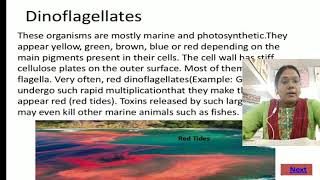 Kingdom Protista  class 11 part 1 [upl. by Beverlie]