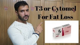 T3 or Cytomel For Fast Fat Loss [upl. by Eselehs212]