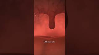 How Uvula Works [upl. by Tabatha]