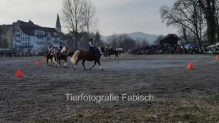 Gaildorfer Pferdemarkt 2017 [upl. by Wistrup]