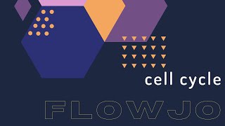 FlowJo CELL CYCLE [upl. by Berkly462]