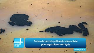 Fuites de pétrole polluent rivière vitale pour agriculteurs en Syrie [upl. by Sofer]