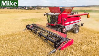 2020  Massey Ferguson 9895 with Grain Harvest  Getreideernte  Sauerland [upl. by Kelda327]