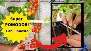 Pomodoro  INNESTO SUPER TRUCCO [upl. by Amahcen48]