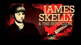 James Skelly amp The Intenders  Im A Man [upl. by Kerek]