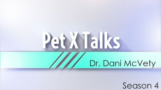 Pet X Talks  Dr Dani McVety  The Compassion of Euthanasia  Quality of Life amp Quality of Death [upl. by Kcirtapnhoj]