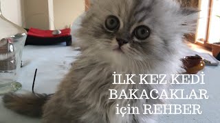 İlk kez kedi sahiplenecekler için detaylı kedi bakımı kılavuzu [upl. by Savadove]