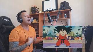 Dragon Ball  Ganador Cover español latino [upl. by Aisatal]