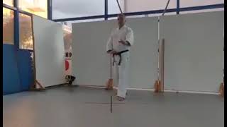 Aikido Movements Tai or Ashi Sabaki Irimi ten kan [upl. by Kelleher]