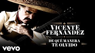 Vicente Fernández  De Qué Manera Te Olvido LetraLyrics [upl. by Hecklau]