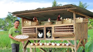 Brilliant Ideas for Successful FreeRange Farming New Chicken Nest And Unboxing Our Mini Incubator [upl. by Alegre]