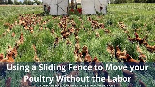 Using a Sliding Fence to Move your Poultry Without the Labor [upl. by Edgardo706]