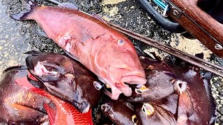 Hawaii 3Prong Spearfishing And Catch And Cook [upl. by Moyer453]