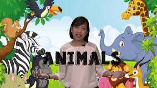 Land Water Air Animals  Preschool Lessons with Free Worksheet [upl. by Ahsael]