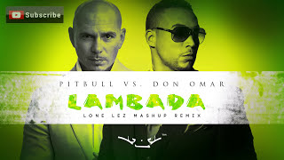 Lambada  Pitbull vs Don Omar Lonelez Remix [upl. by Einaffit969]