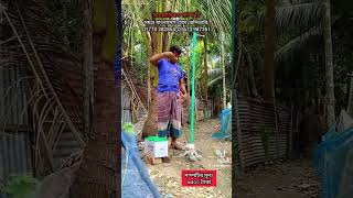 ১২ ভোল্টের মটারonly faruk solar penet diye pani tona 2025 [upl. by Ennylyak]