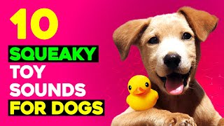 10 Squeaky Toys Sounds for Dogs  Sounds that Call Dogs [upl. by Lindholm436]