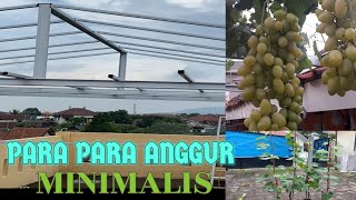 PARA PARA ANGGUR  RAMBATAN ANGGUR MINIMALIS  RAMBATAN ANGGUR DI BALKON LANTAI 3 [upl. by Anairdna]