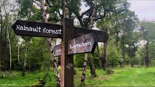 Beautiful evening view Hainault forest with natural voice [upl. by Danielson]