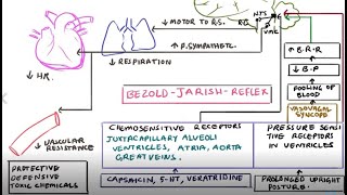 Bezold Jarisch Reflex Chemo Receptive Reflex Vasovagal Syncope [upl. by Larsen]