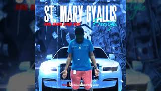 Lava Vein King Okimo  St Mary Gyallis Freestyle 🔥 [upl. by Gannes]