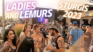 STURGIS Motorcycle Rally 2023 LADIES And LEMURS [upl. by Oicafinob]