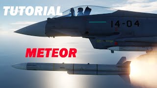 DCS Eurofighter Typhoon Lehuzas METEOR TUTORIAL [upl. by Tomchay]