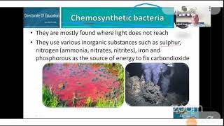 Class 11 Chemosynthetic Bacteria [upl. by Pappano]