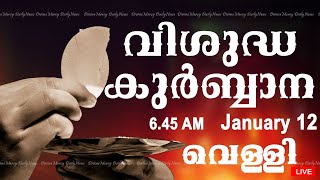 Holy Mass I Malayalam Mass I January 12 I Friday I Qurbana I 645 AM [upl. by Igor909]