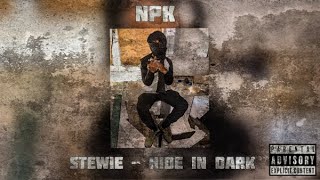 NPK Stewie  Hide In Dark Official Audio [upl. by Aerdma]