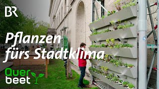 KlimawandelGarten im München [upl. by Doner]