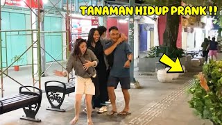 SAMPAI KAGET PARAH  PRANK LUCU BUSHMAN MANUSIA DAUN FUNNY VIDEOS [upl. by Guise]