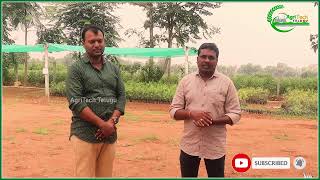 Carbon Credits For Farming  AgriTech Telugu [upl. by Proffitt]