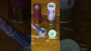 Best shotgun slug for Bear defense [upl. by Rozele]