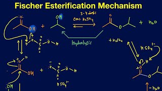 Fischer Esterification mechanism Synthesis of ester from acid and alcohol with mechanism [upl. by Missy]