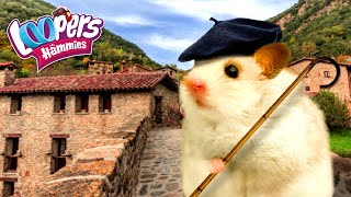 🗻 CIRCUITO sui PASCOLI 🌄 LOOPERS 🐹 CRICETO 🐹 NUOVA SERIE 💥 CARTONI ANIMATI per BAMBINI in ITALIANO [upl. by Valida]