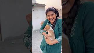 Chote puppy ka ilaj 😨 vlog 176 minivloging tranding ashortaday [upl. by Leanora]