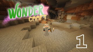 Back to Survival  Minecraft WonderCraft  Ep 1 [upl. by Ajani]