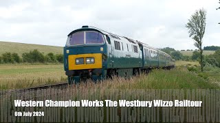 D1015 Western Champion  Westbury Wizzo Railtour 060724  4K [upl. by Oxley]