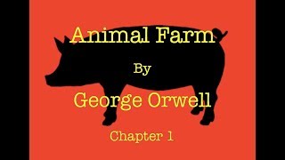 Animal Farm Chapter 1 audiobook [upl. by Pitzer496]